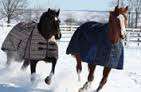 Healthy Stables Should be kept Cool in Winter