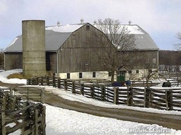 Wyndalways Farm